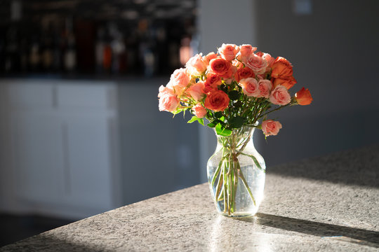 how to care for cut flowers