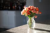 how to care for cut flowers