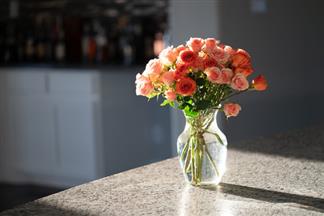 how to care for cut flowers