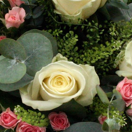 Rpple Raspberry Roses Raspberry Ripple Julie's Flowers Gosforth Florist